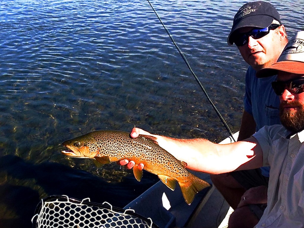 Missouri River Montana hopper fishing