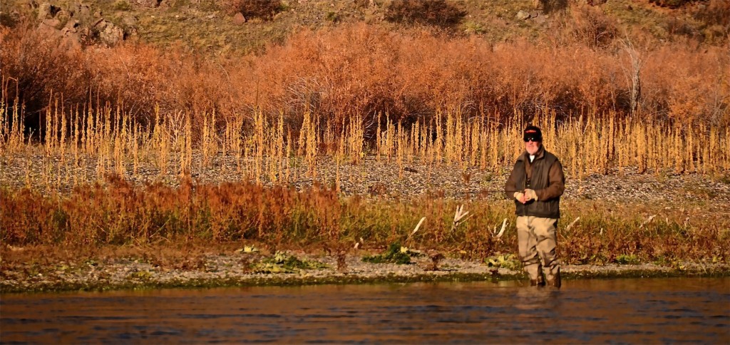 Montana Fishing Report
