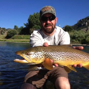 Montana trophy brown trout