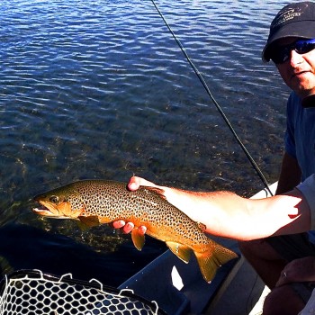 Missouri River Montana hopper fishing