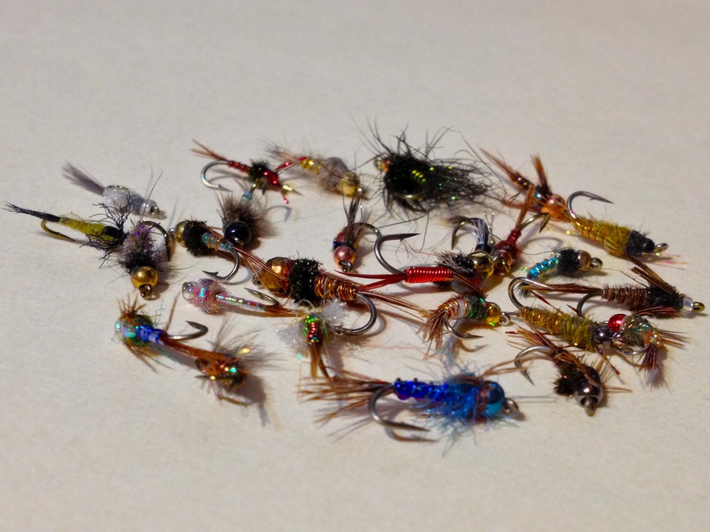 Missouri river mayfly nymphs