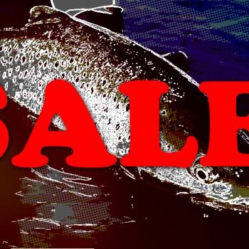Fly Fishing Sale
