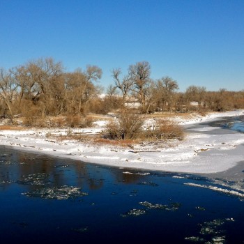 Missouri River Winter Fishing Report