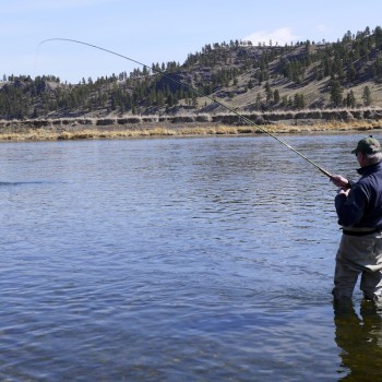 Spey fishing Montana Missouri River