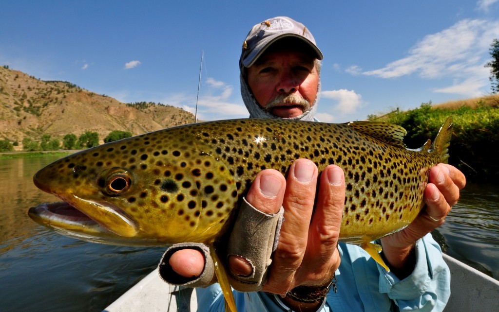 The Comprehensive Guide to Guided Fishing Trips
