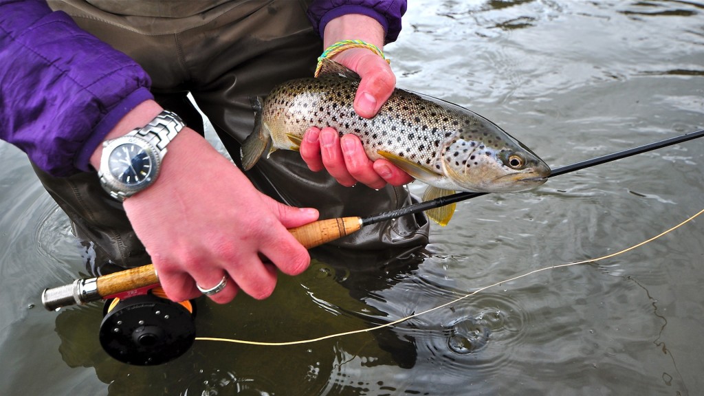 Saturday Missouri River Fishing Report