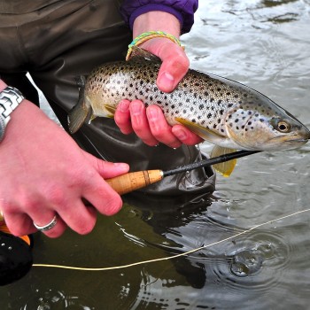 Saturday Missouri River Fishing Report