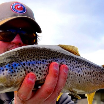 Missouri River Monday Fishing Report