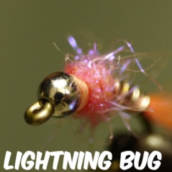 Pink Lightening Bug
