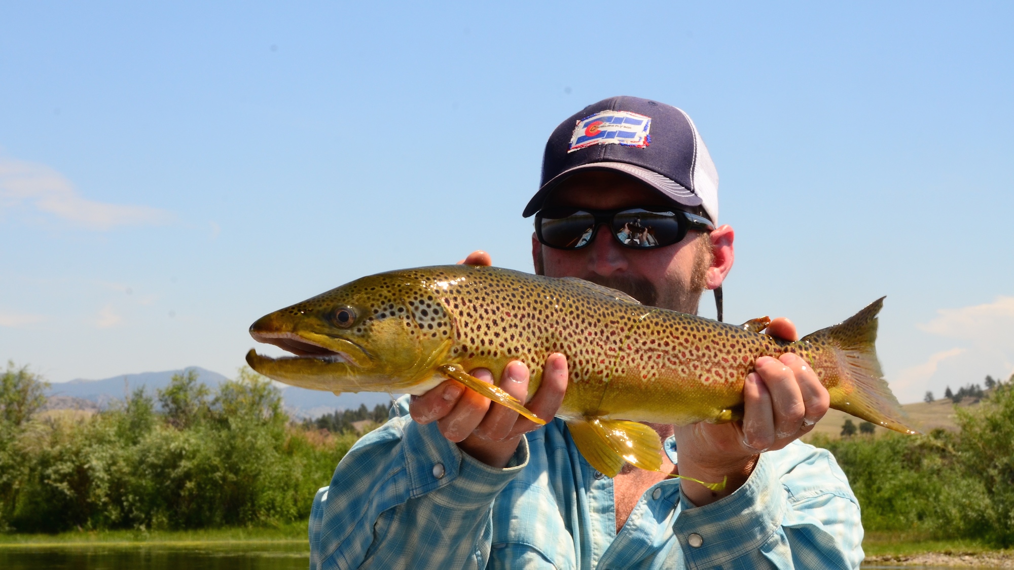 Missouri River Montana Fishing Report 8.18.14