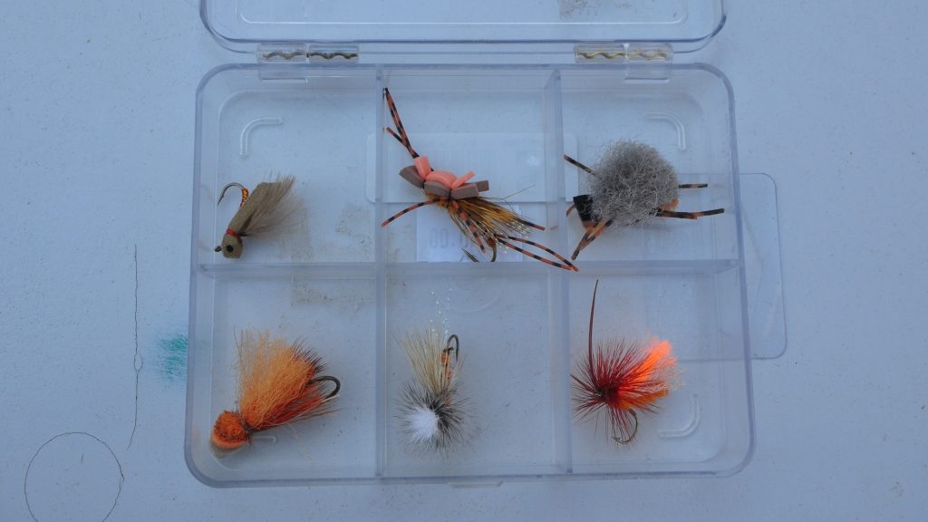 October Caddis. Yes.