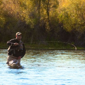 Missouri River Montana Fishing Report