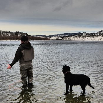 Missouri River Swing Season Fishing Report