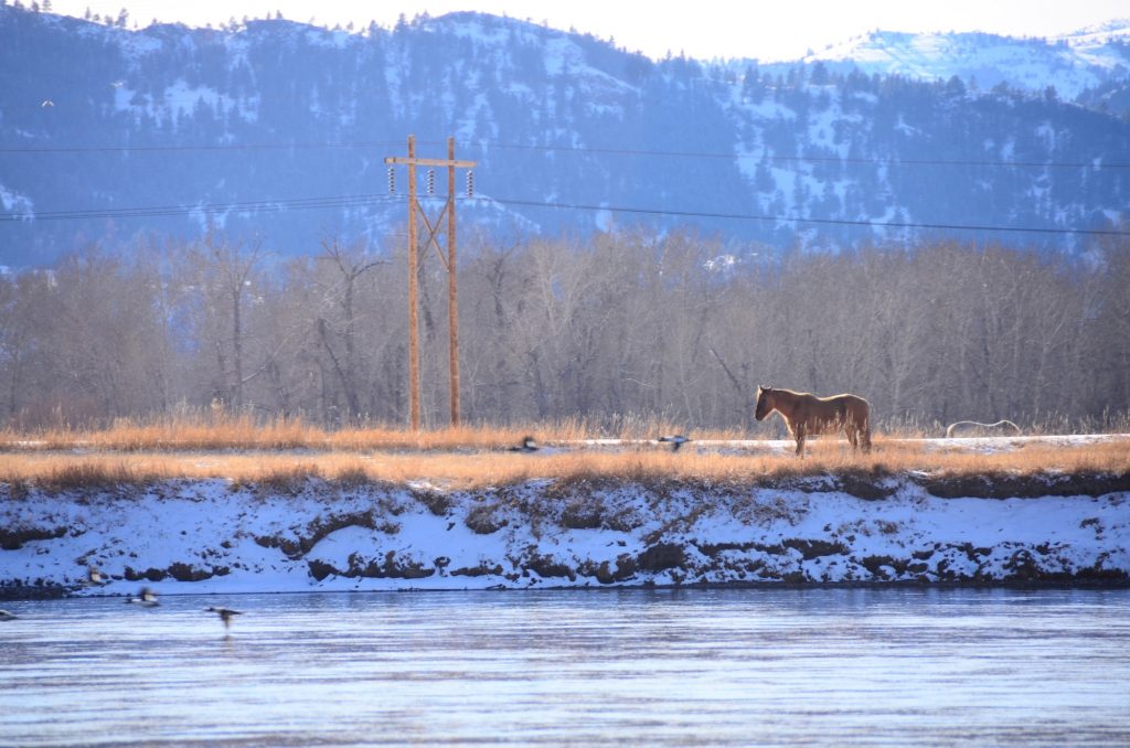 Squeekys Top 5 Winter Fly Fishing Tips