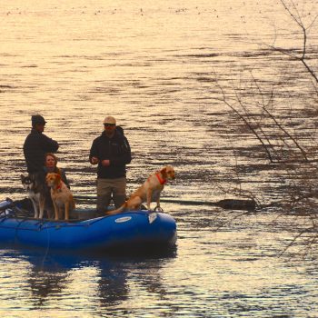 Missouri River Montana Fishing Report 2.4.15