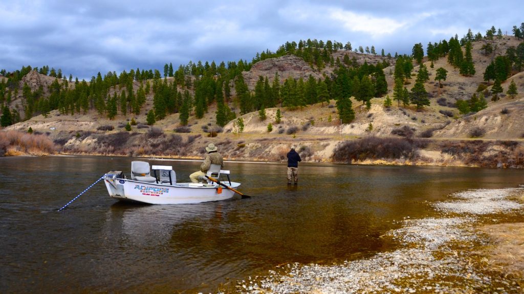 Missouri River Montana Fishing Report 3.30.15