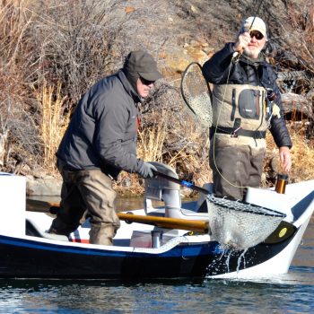 Missouri River Montana Fishing Report 3.8.15
