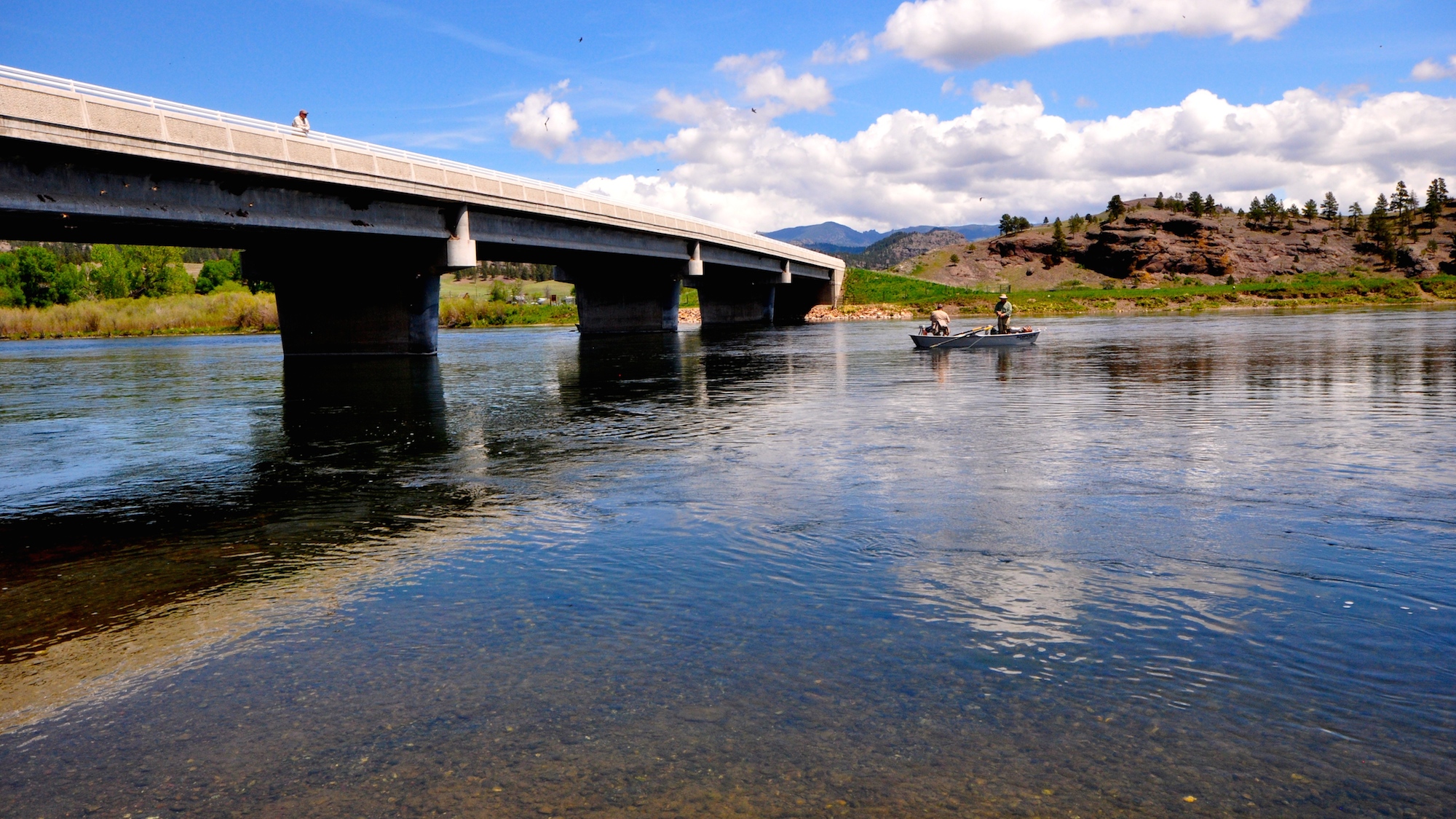 Missouri River Montana Fishing Report June 1st 2015