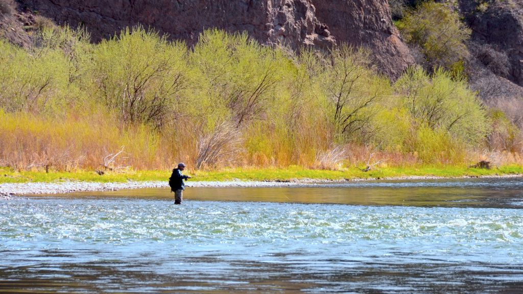 The Voice of a Wade Angler