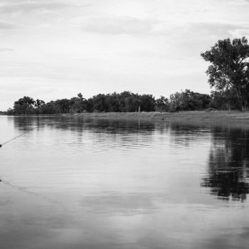 Missouri River Brown Drakes