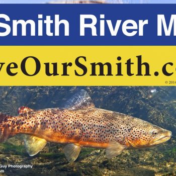 Save Our Smith