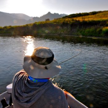 Missoiuri RIver Montana Fishing Report 7.6.15