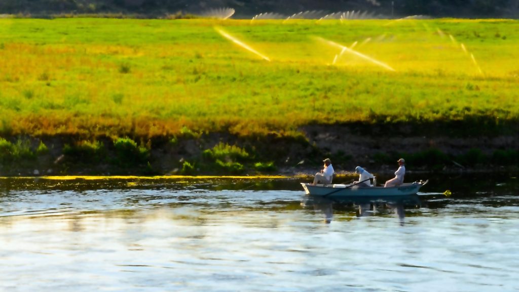 Missouri River Montana Fishing Report Mid July