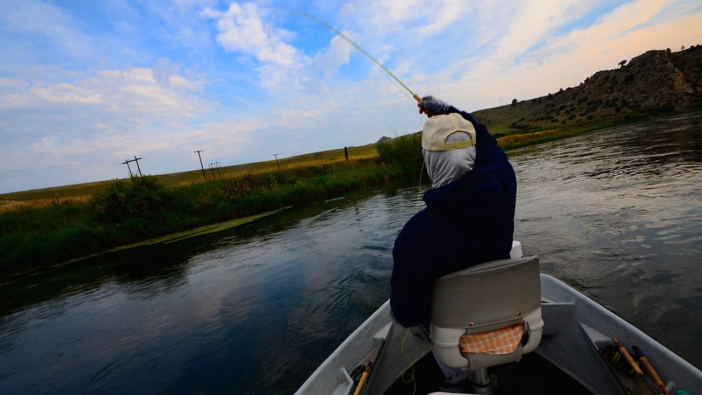 Montana fly fishing report