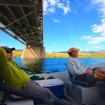 Missouri River Montana Fishing Report 8.15.15