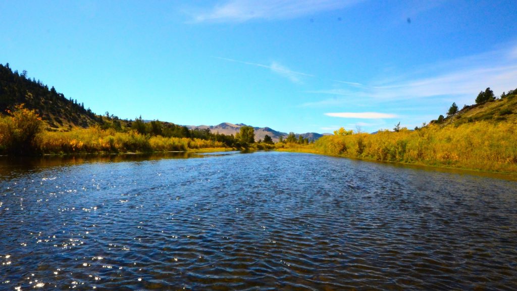 Dry FLy Flat