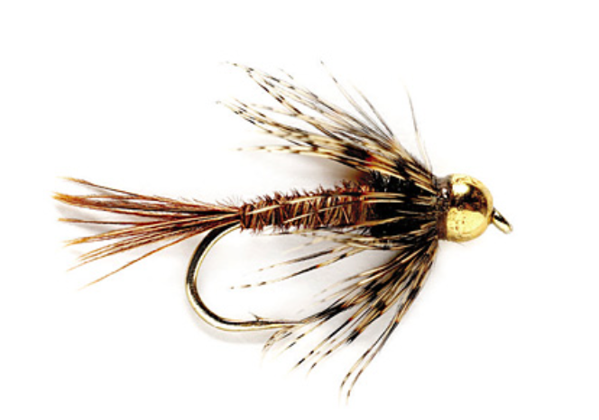 Why not Soft Hackle today.