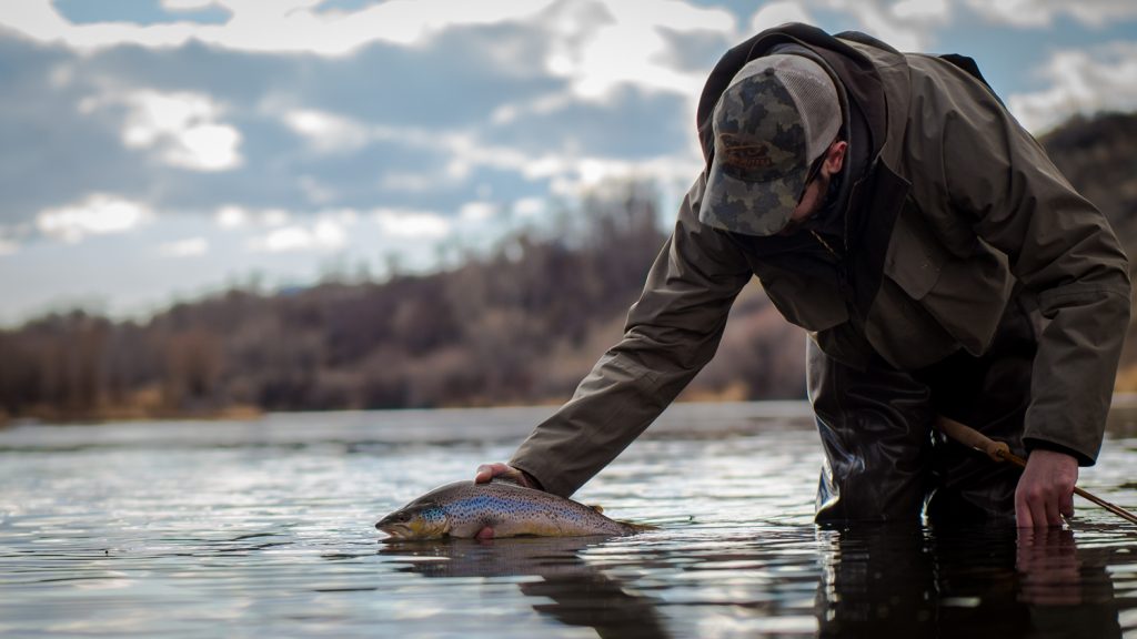 Montana Guided Spey Trips