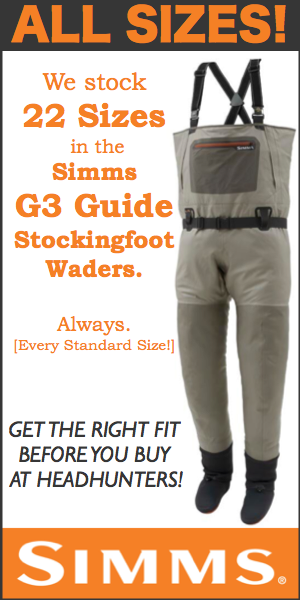 SIMMS 5 for Winter