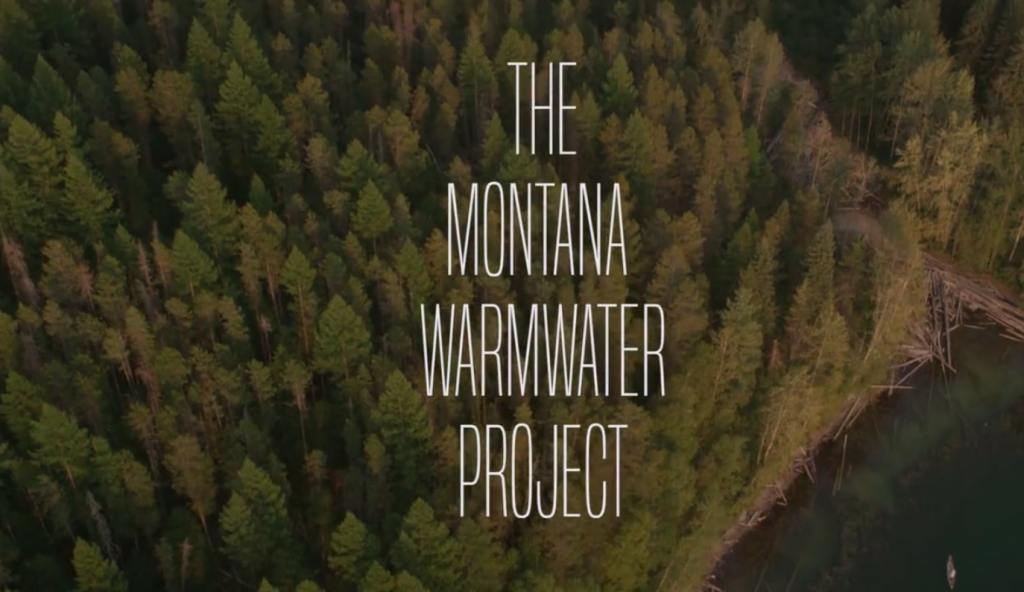 The Montana Warmwater Project