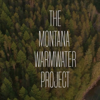 The Montana Warmwater Project