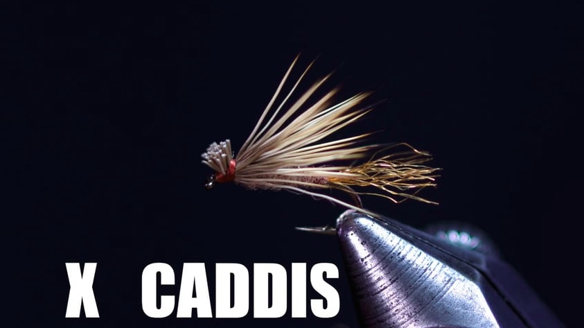 X Caddis JAV