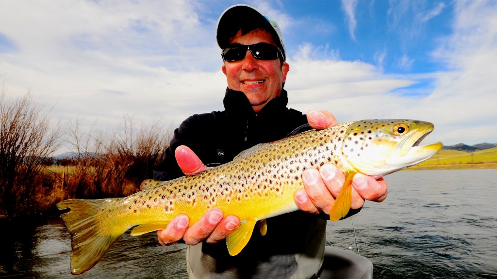 Spring Brown Trout
