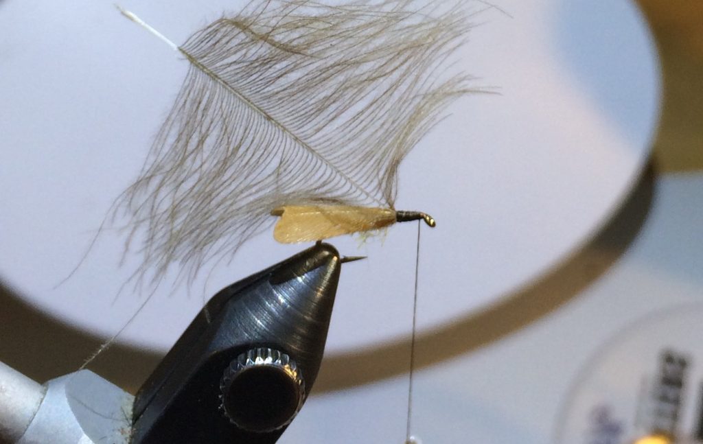 Stockig Wing Caddis_5