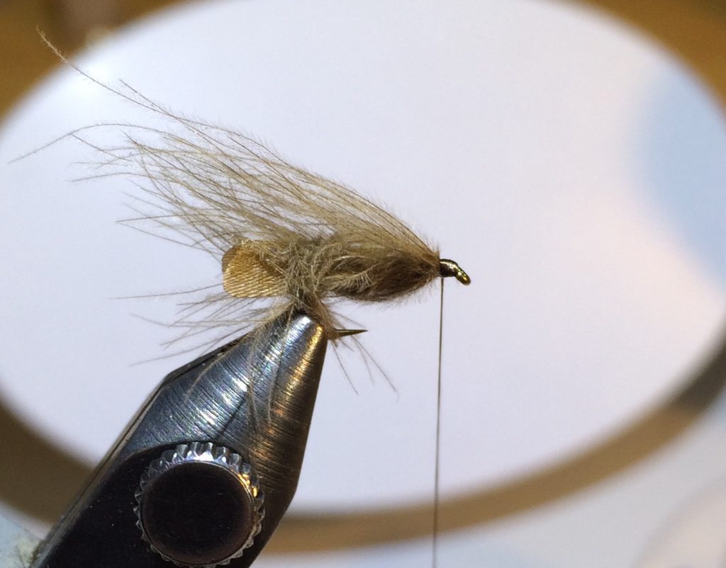 Stockig Wing Caddis_6