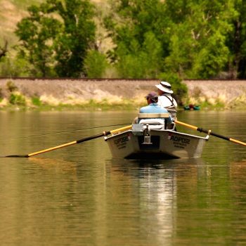 How to (not) catch Missouri River dry fly fish