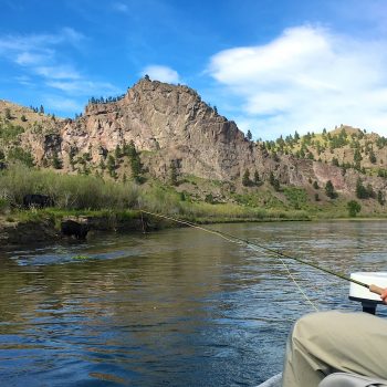 Headhunters Missouri River Weekend Fishing Report