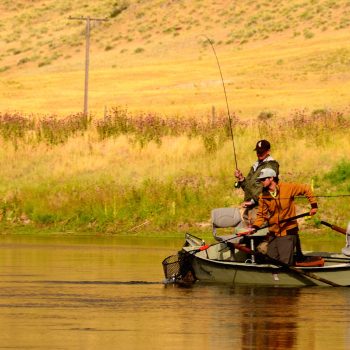 Missouri River Montana July 10th Fishing Report