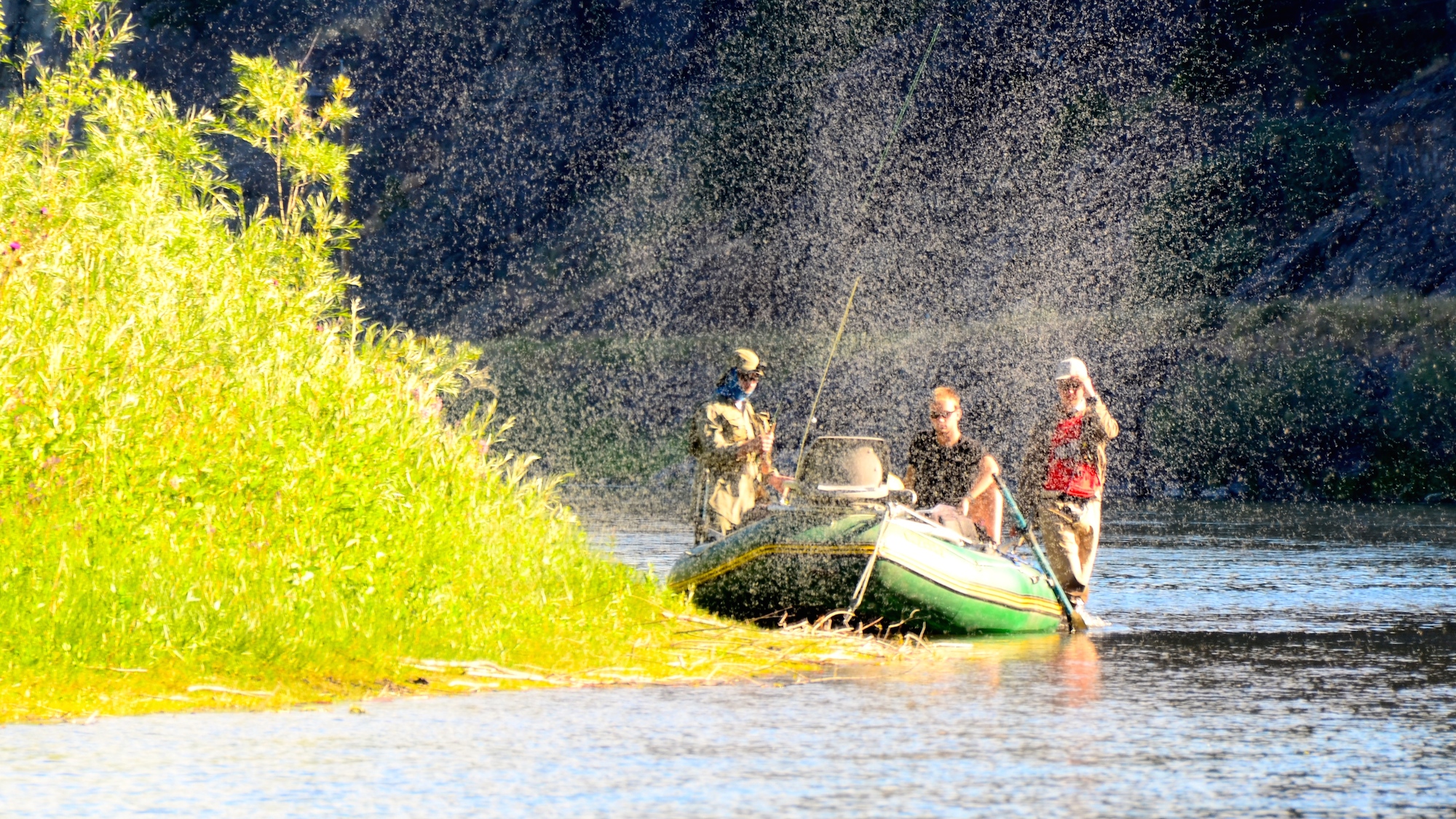 July Trico's Missouri River Fishing Report
