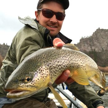 Hump Day Brown Trout