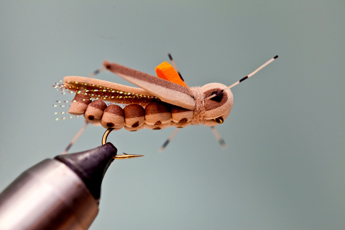 Tying Grasshopper Patterns