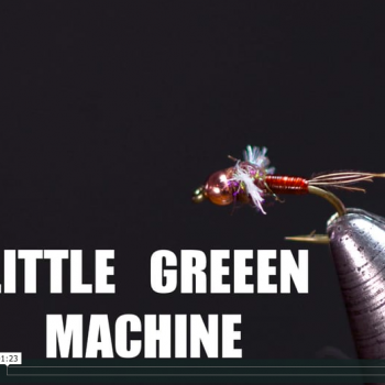 Little Green Machine JAV