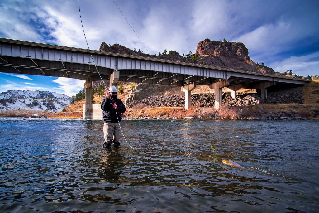 Echo Switch Rod Line Chart