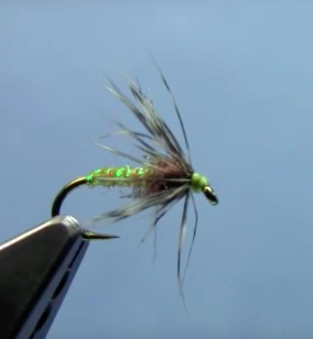 Soft Hackle Tying Video with Hans