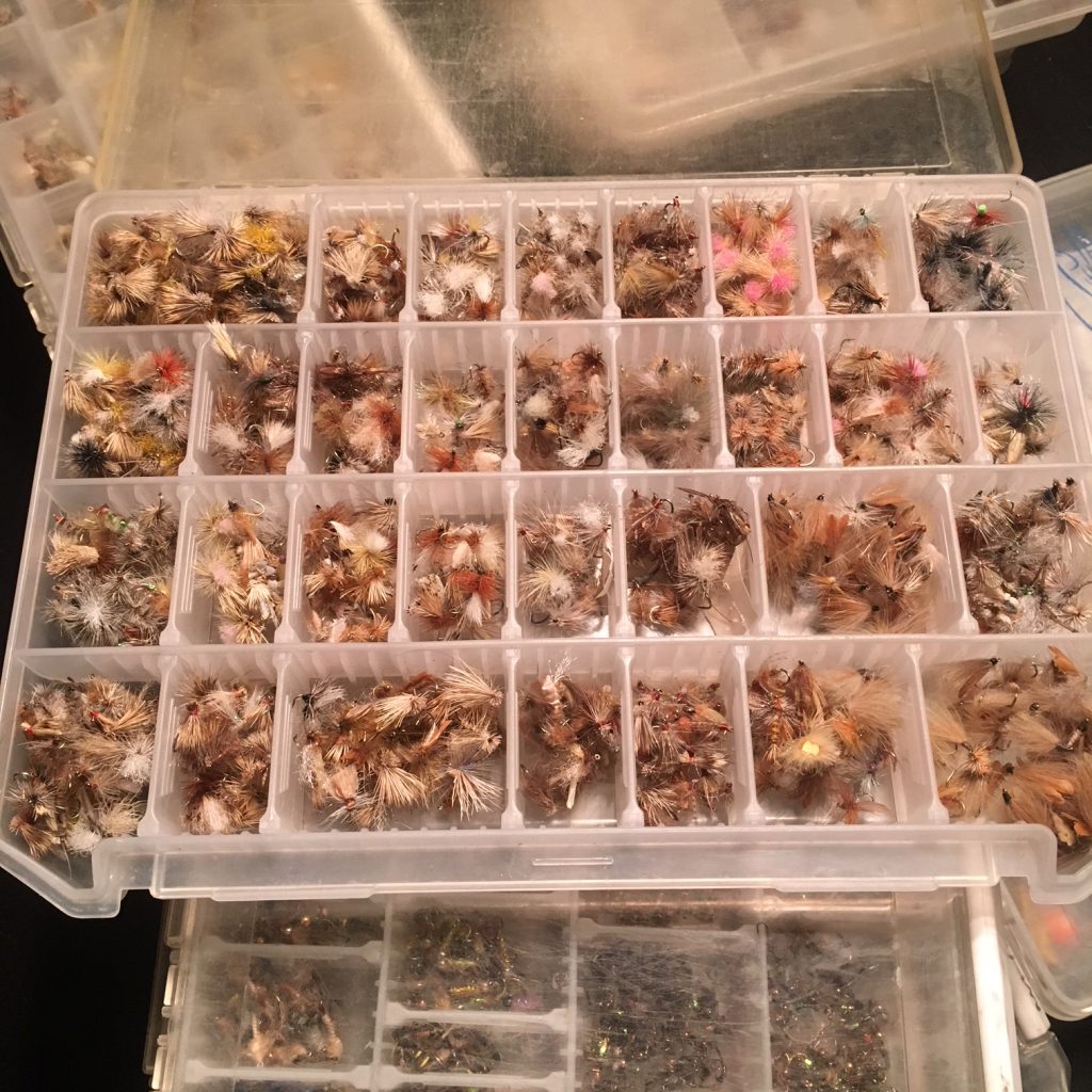 Since my brain is fried, I may as well organize flies.