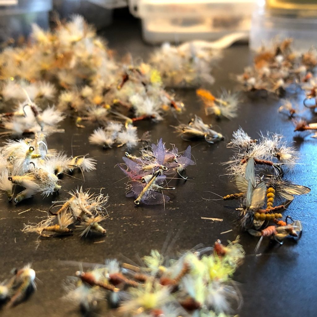 Squeeky's Fly Sort Update